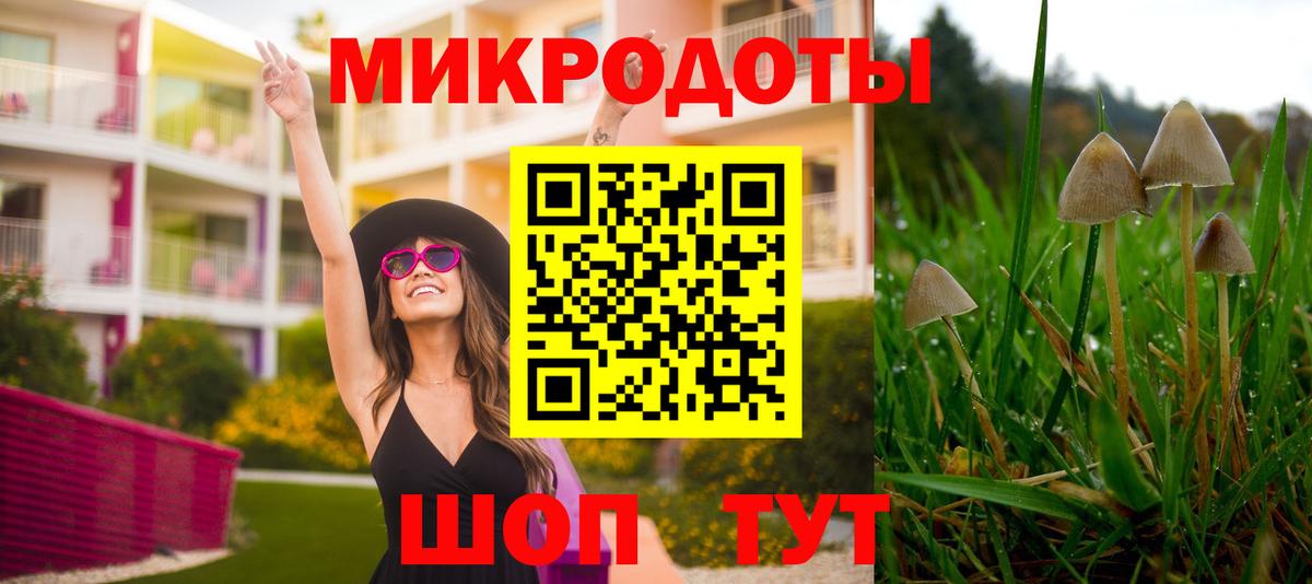 Псилоцибиновые грибы Psilocybine cubensis Донской